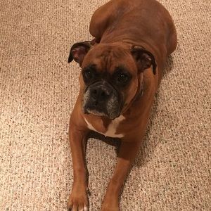 Meet your Posher, Kathy